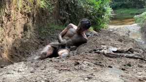 muddy-blazers_15.jpg